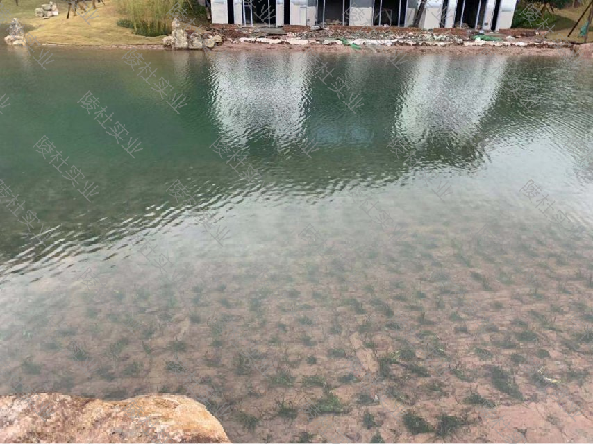 水生态治理技术及效果(图1) 水生态治理技术及效果(图1)