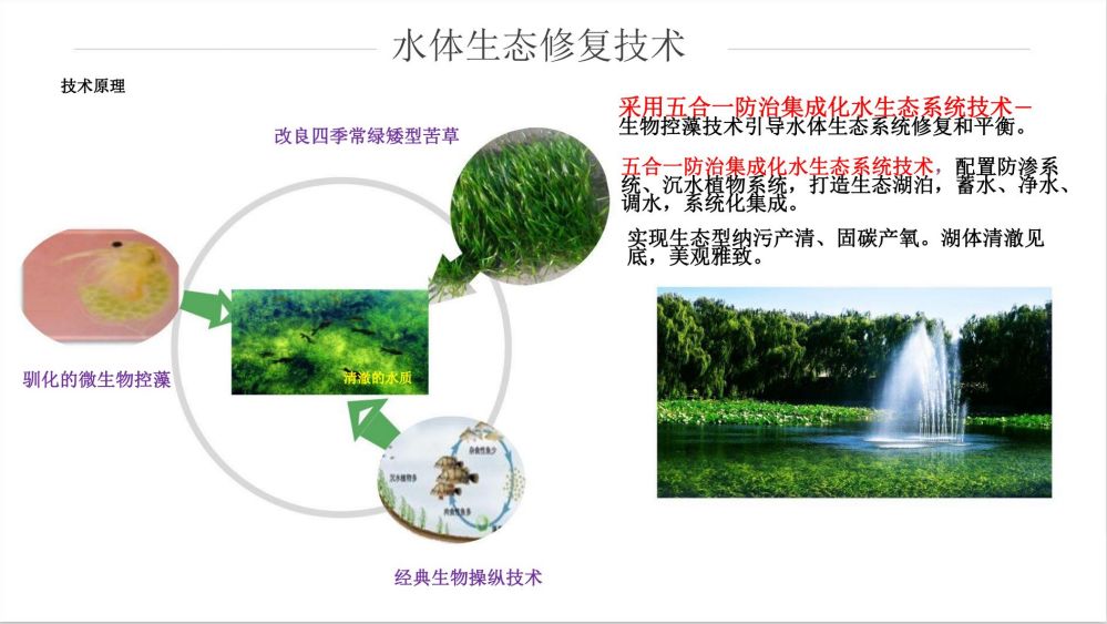 五合一防治集成化水生态系统(图5)