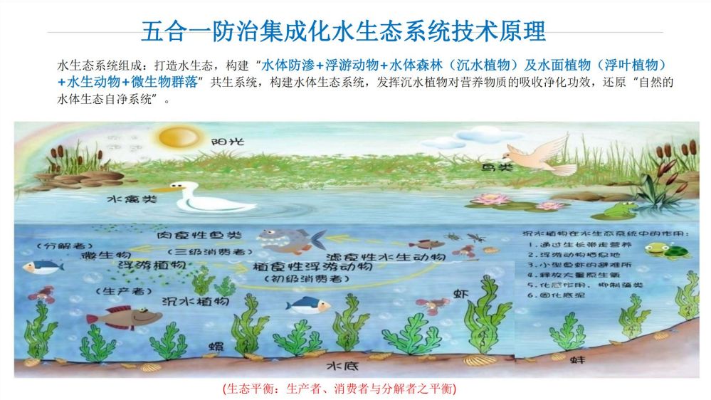 五合一防治集成化水生态系统(图6)
