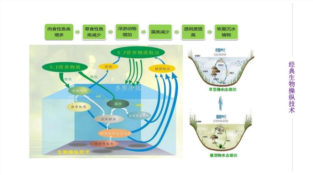 五合一防治集成化水生态系统(图10)
